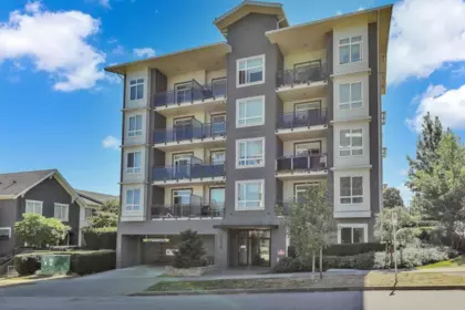 114 13628 81a Avenue, Surrey, BC, Surrey — Apartment/Condo for sale