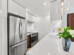 203 1729 E Georgia Street, Vancouver, BC