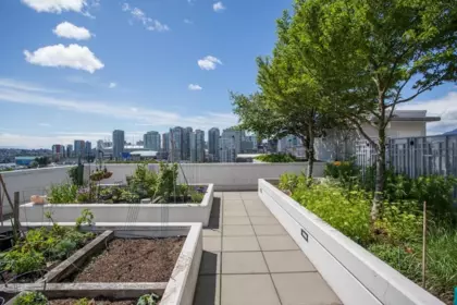 Garden / Landscaping Photo of 208 189 Keefer Street, Vancouver, BC