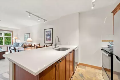Primary Bathroom Photo of 311 4660 Blackcomb Way, Whistler, BC