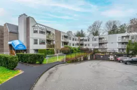 MLS R3036062