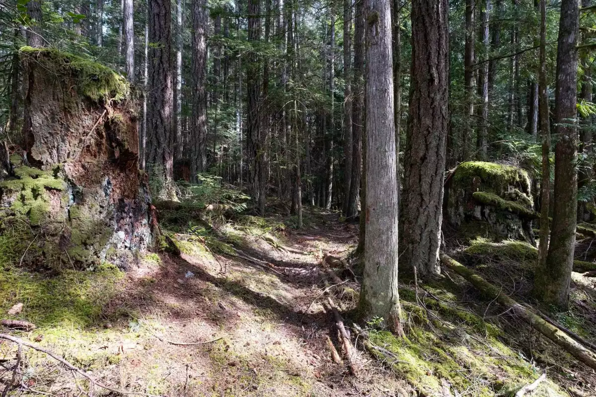 Playground / Recreational Area Near 11832 Sunshine Coast Highway, Pender Harbour, BC