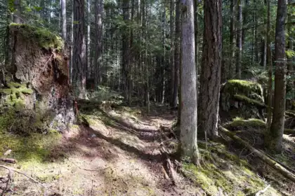 Playground / Recreational Area Near 11832 Sunshine Coast Highway, Pender Harbour, BC