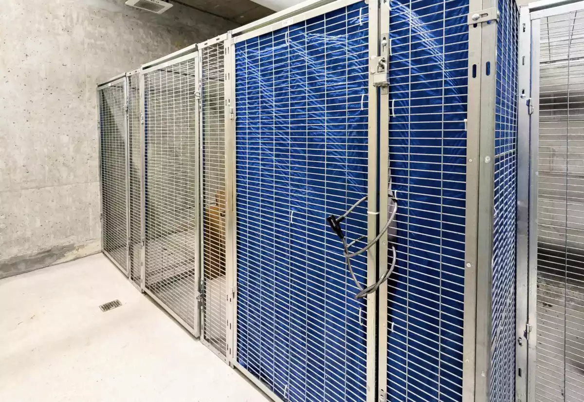 Front Yard Photo of 617 3699 Sexsmith Road, Richmond, BC