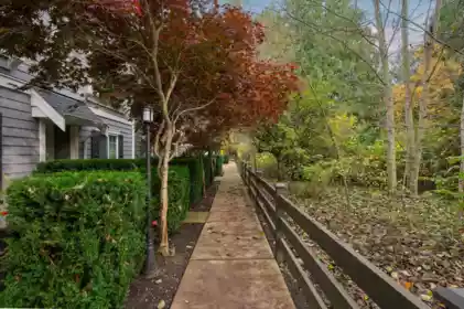50 288 171 Street, Surrey, BC, Surrey — Townhouse for sale
