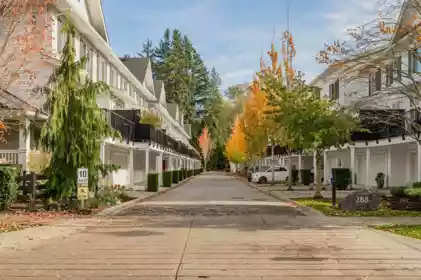 50 288 171 Street, Surrey, BC, Surrey — Townhouse for sale