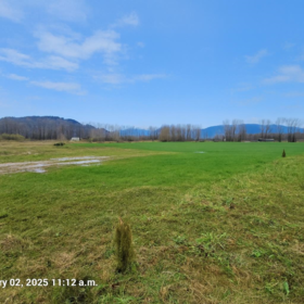 Family Room Photo of 41320 Nicomen Island Trunk Road, Mission, BC
