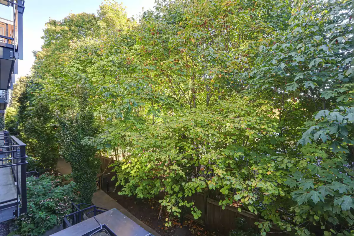 Mudroom Photo of 205 13925 Fraser Highway, Surrey, BC
