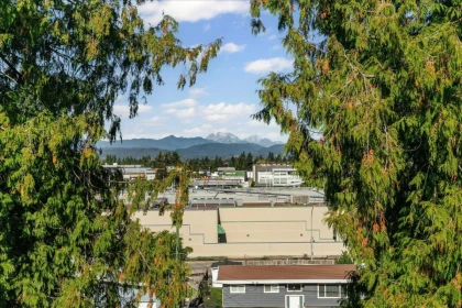 Outdoor Patio Photo of 32597 Willingdon Crescent, Abbotsford, BC