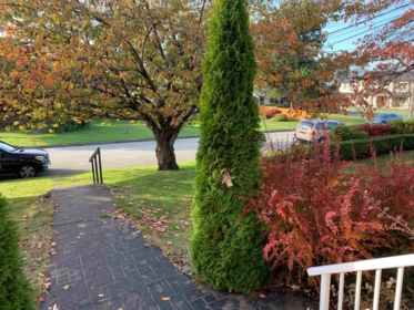Garden / Landscaping Photo of 6710 St Charles Place, Burnaby, BC