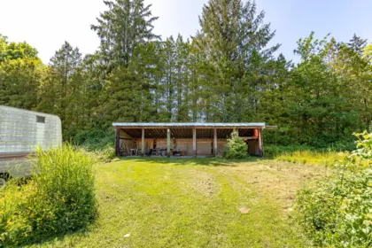 Loft / Bonus Room Photo of 22909 132 Avenue, Maple Ridge, BC