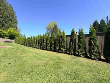 Neighborhood Park Photo Near 1025 Ranch Park Way, Coquitlam, BC
