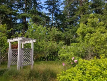 Outdoor Deck Photo of 90 Gulf Drive, Galiano Island, BC