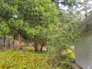 Outdoor Patio Photo of 90 Gulf Drive, Galiano Island, BC