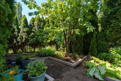 Front Yard Photo of 26838 32 Avenue, Langley, BC