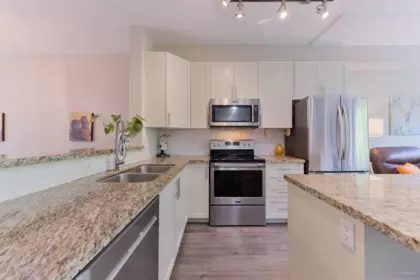 Pantry Photo of 38 21661 88 Avenue, Langley, BC