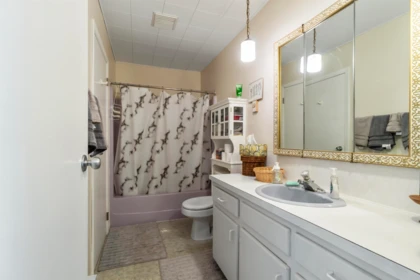 Guest Bathroom Photo of 2 6868 Squilax Anglemont Road, No City Value, BC