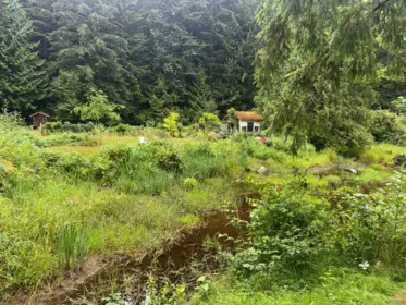 29403 Dewdney Trunk Road, Mission, BC, Mission — Land for sale