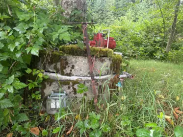 Garden / Landscaping Photo of 29403 Dewdney Trunk Road, Mission, BC