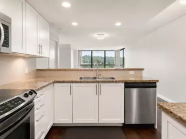Kitchen Photo of 1403 288 Ungless Way, Port Moody, BC