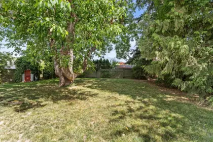 Neighborhood Park Photo Near 46003 Ivy Avenue, Chilliwack, BC