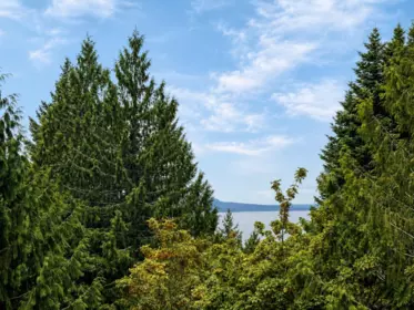 Hallway Photo of 456 Steward Drive, Galiano Island, BC