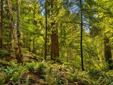 Street View Photo of 456 Steward Drive, Galiano Island, BC