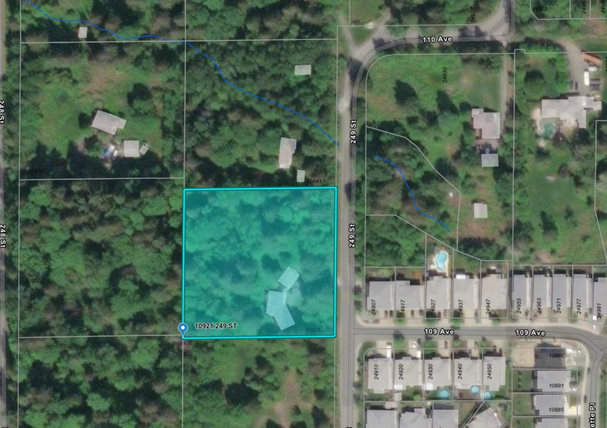 Living Room Photo of 10921 249th Street, Maple Ridge, BC