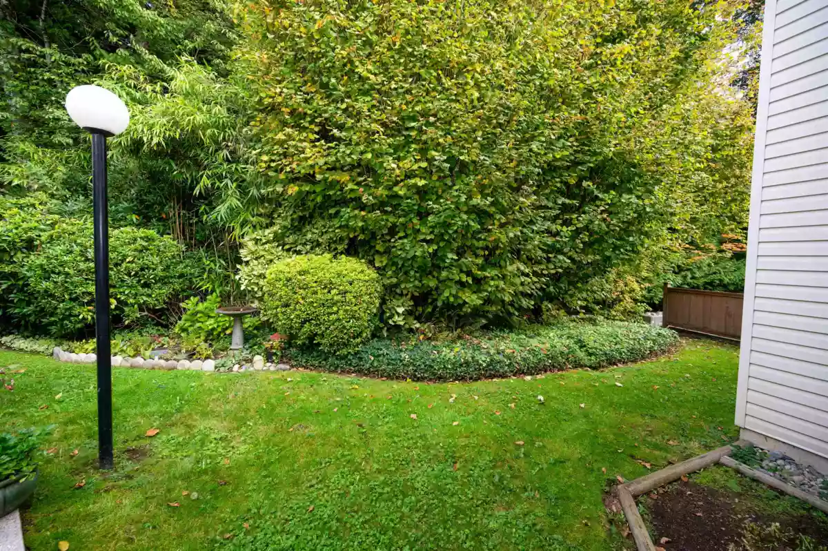 Basement Recreation Room Photo of 117 10584 153 Street, Surrey, BC