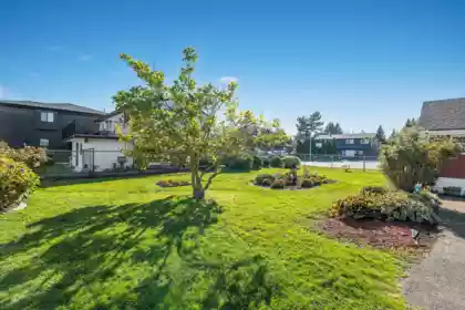 Kitchen Photo of 6282 175b Street, Surrey, BC