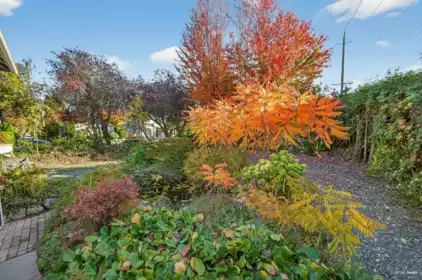 7561 Angus Drive, Vancouver, BC, Vancouver — Single Family Residence for sale