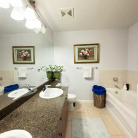 Primary Bathroom Photo of 307 14 E Royal Avenue, New Westminster, BC