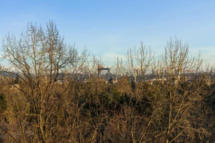 Hallway Photo of 12C 338 Taylor Way, West Vancouver, BC
