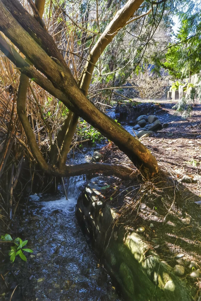 Breakfast Nook Photo of 2217 St George Street, Port Moody, BC