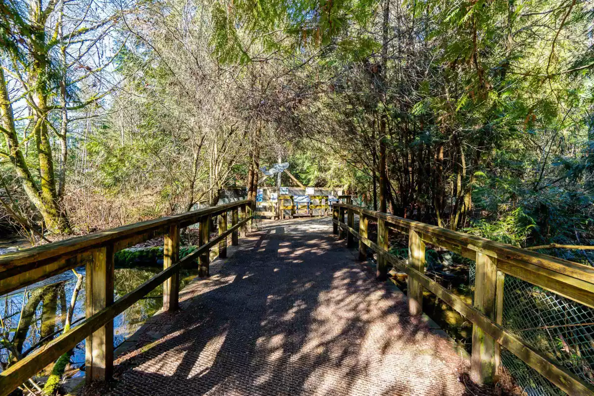 Fitness Center Photo Near 318 2985 Princess Crescent, Coquitlam, BC