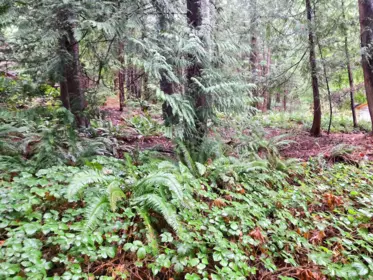 Lot 5 Gavin Road, Keats Island, BC, Keats Island — Land for sale