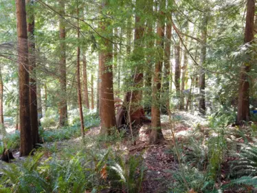 Lot 5 Gavin Road, Keats Island, BC, Keats Island — Land for sale