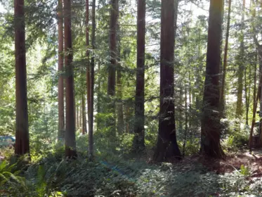 Lot 5 Gavin Road, Keats Island, BC, Keats Island — Land for sale