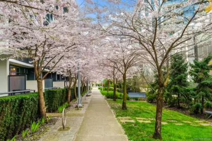 42 8628 Hazelbridge Way, Richmond, BC, Richmond — Townhouse for sale