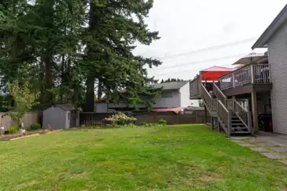 Backyard Photo of 14075 110a Avenue, Surrey, BC