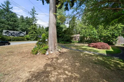 Backyard Photo of 2010 Mackay Avenue, North Vancouver, BC