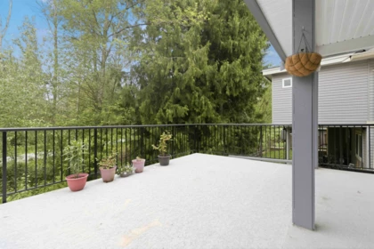 Backyard Photo of 33133 Dalke Avenue, Mission, BC