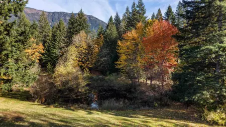 Neighborhood Park Photo Near 4658 Bruce Road, Ryder Lake, BC
