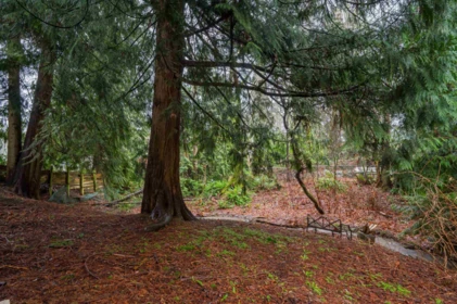 Community Amenities Photo (Clubhouse) of 32472 Grebe Crescent, Mission, BC