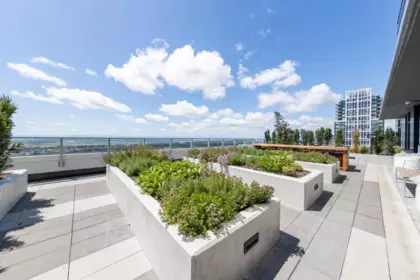 Garden / Landscaping Photo of 2810 6608 Sussex Avenue, Burnaby, BC