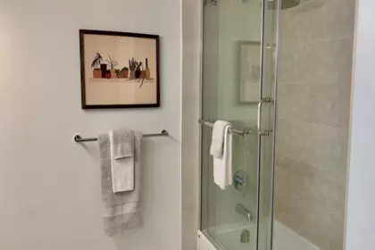 Primary Bathroom Photo of 1003 867 Hamilton Street, Vancouver, BC