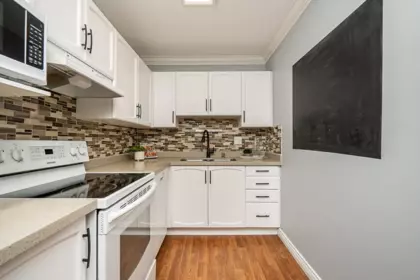 315 2962 Trethewey Street, Abbotsford, BC, Abbotsford — Apartment/Condo for sale