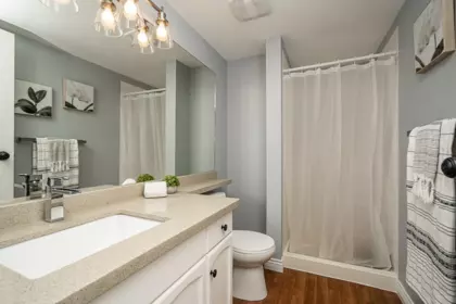 Loft / Bonus Room Photo of 315 2962 Trethewey Street, Abbotsford, BC