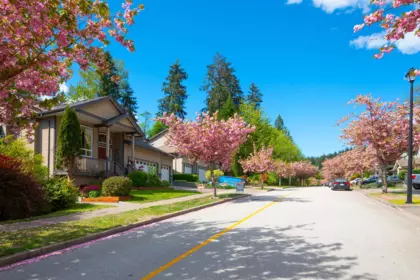 Aerial View of 13257 239b Street, Maple Ridge, BC