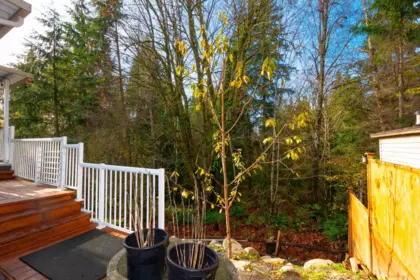 Outdoor Deck Photo of 13257 239b Street, Maple Ridge, BC
